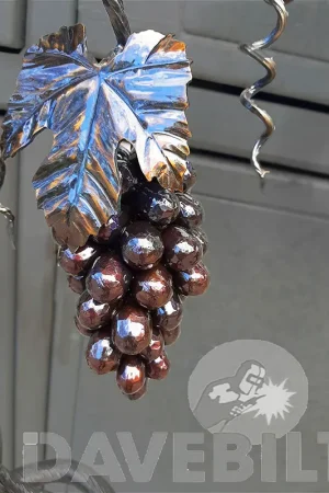 Grape Bunch