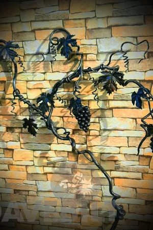 Grape Vine 1