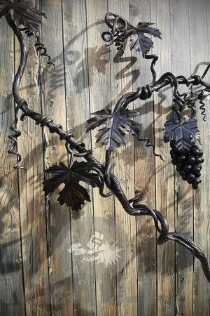 Grape Vine 2
