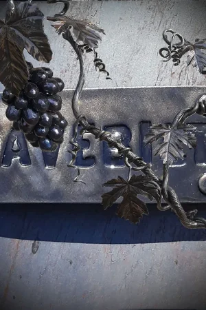 Grapes and Logo